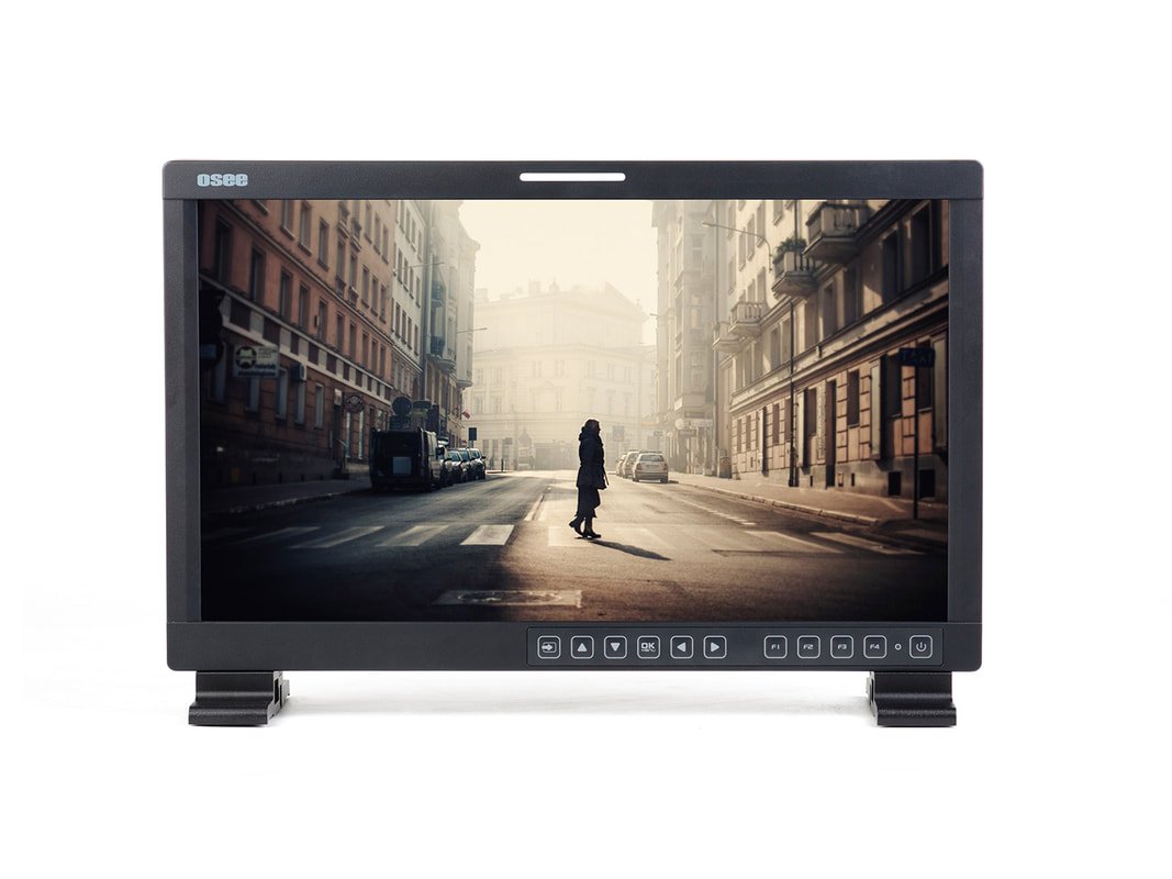 OSEE LMW-171H –  Field Monitor –  17″